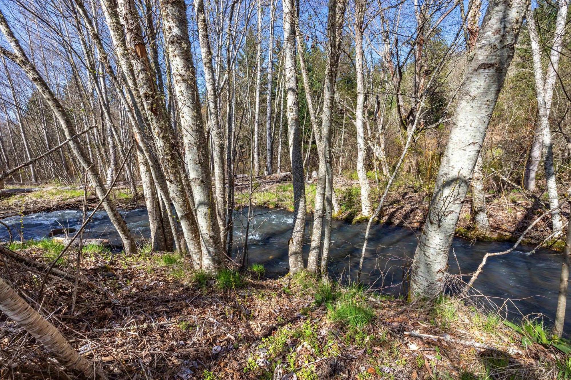 Villa Neal Creek Retreat Mount Hood Esterno foto