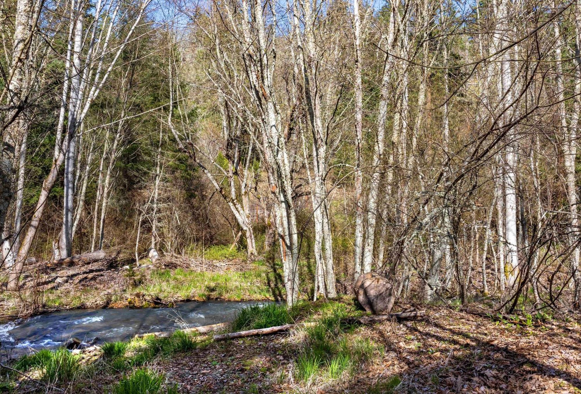 Villa Neal Creek Retreat Mount Hood Esterno foto